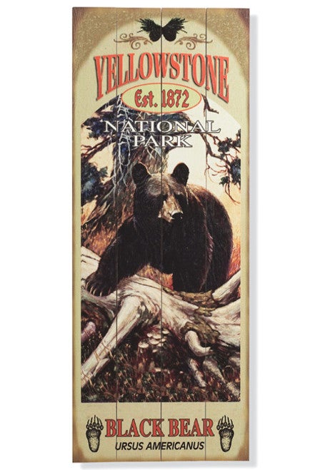 Black Bear Sign