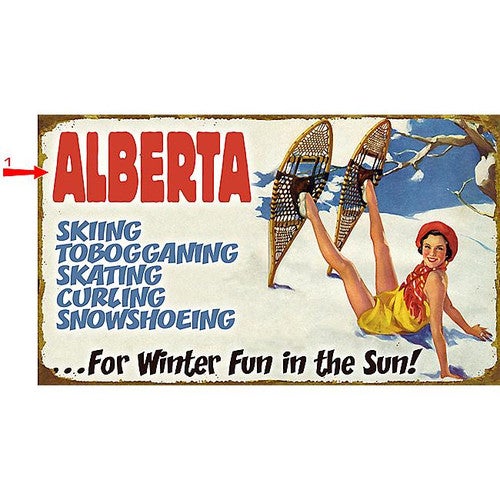 Skiing, Tobogganing Sign