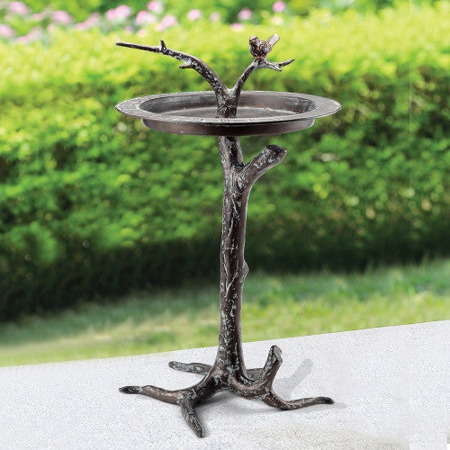 Tree Branch Bird Bath