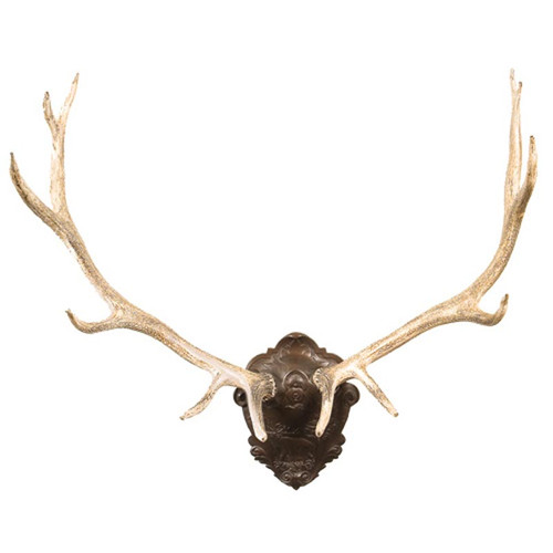 12-point Deer Plaque