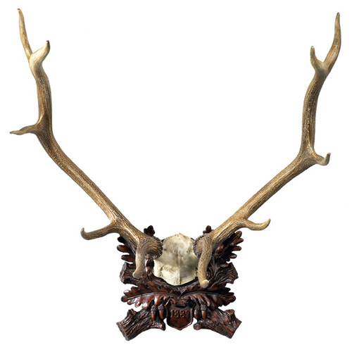 1889 Large Antler Plaque - Burlwood