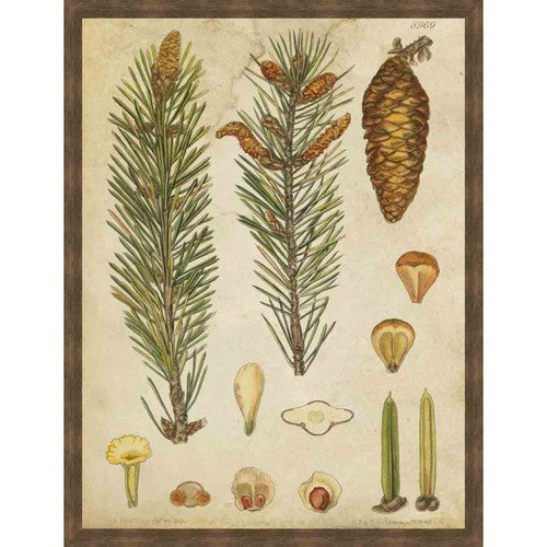 Vintage Coniers IV Wall Art