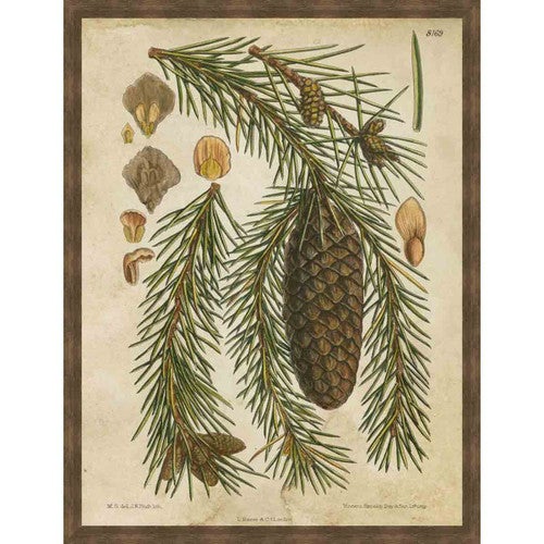 Vintage Conifers I Wall Art