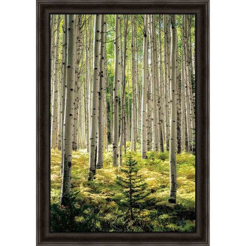 Baby Evergreen Wall Art