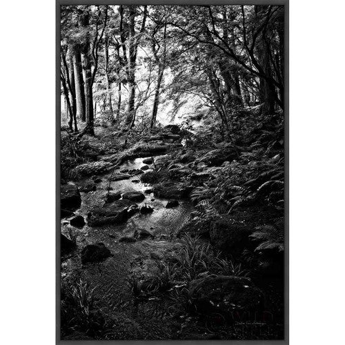 Autumn Creek Wall Art