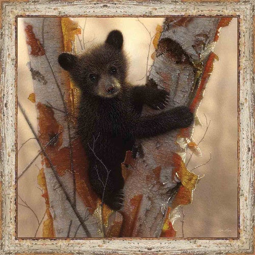 Cute Climber I Wall Art