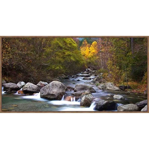 Woodland River II Wall Art