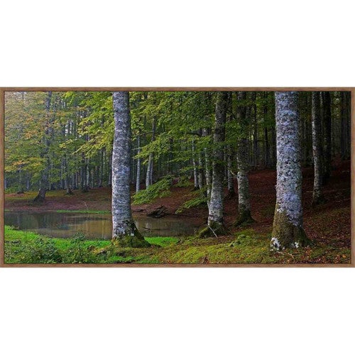 Woodland River III Wall Art