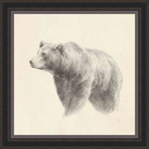Bear Sketch Wall Art
