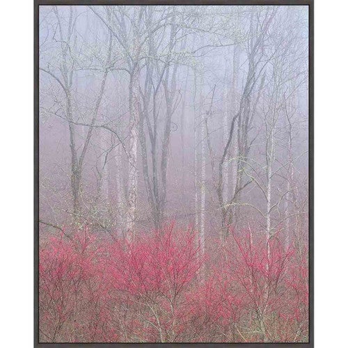 Misty Redbud Wall Art