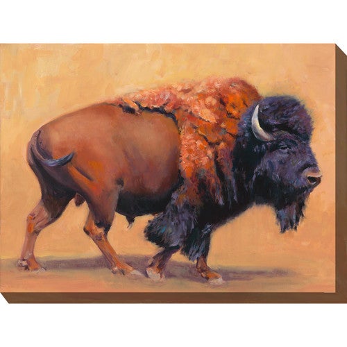 Buffalo Plains Outdoor Wall Art