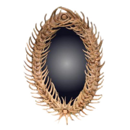 Oval Sun-Bleached Antler Forked Mirror