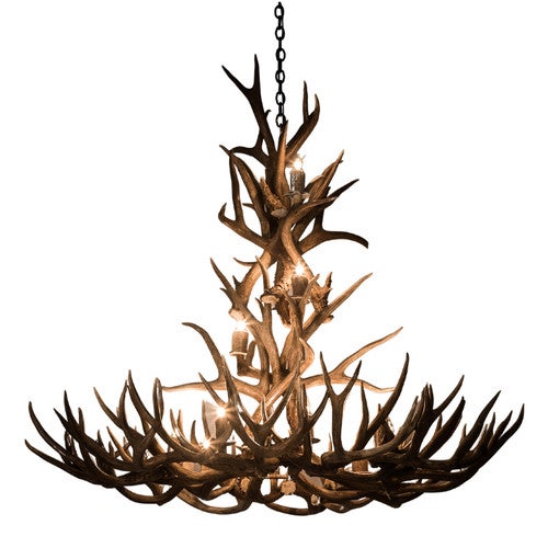 48 Inch Mule Deer Antler Chandelier - 12 Light
