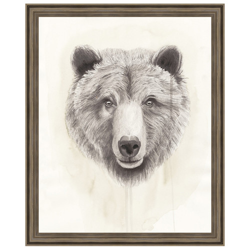 American Wilderness I Framed Print