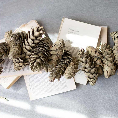 Frosted Green Pinecone Garland - Set of 6