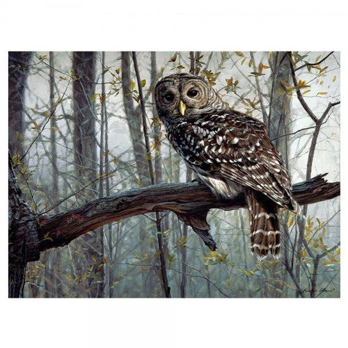 Owl Forest Jigsaw Puzzle (1000 pc)