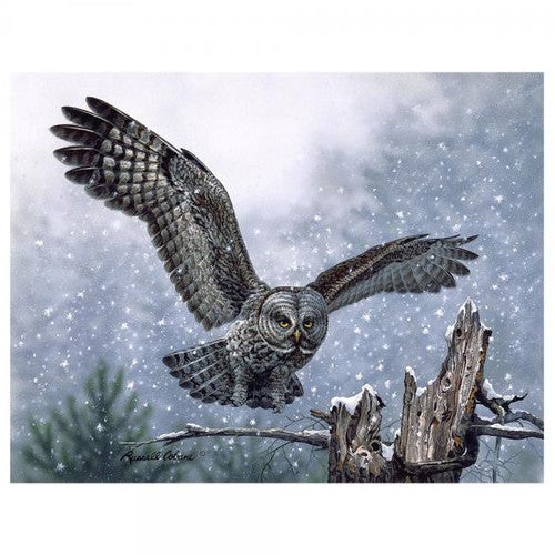 Winter Owl Jigsaw Puzzle (1000 pc)