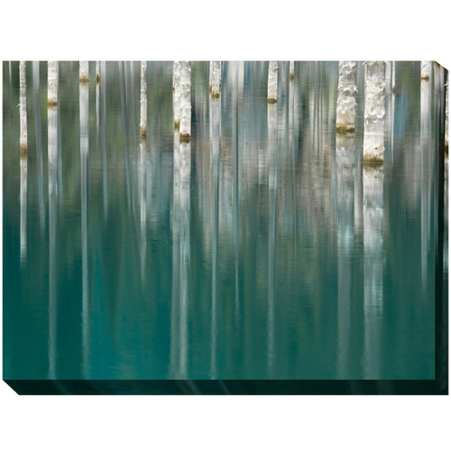 aspen Reflections Canvas Art