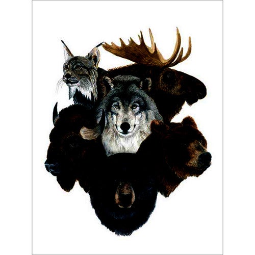 Forest Montage Canvas Wall Art