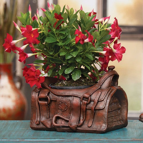 Western Ranch Saddle Planter