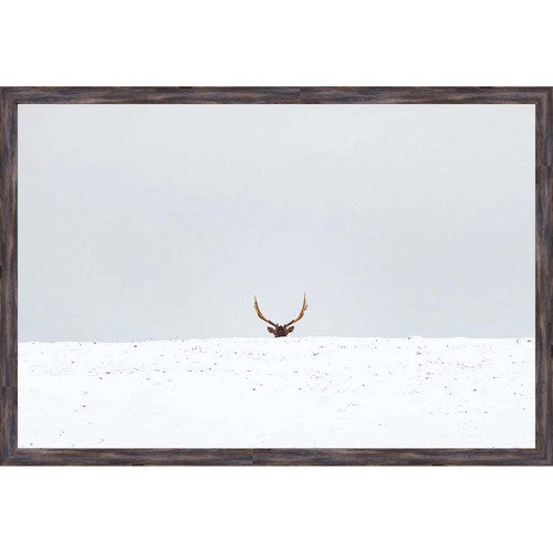 Hiding Elk Wall Art