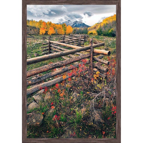 Colorado Divide Wall Art