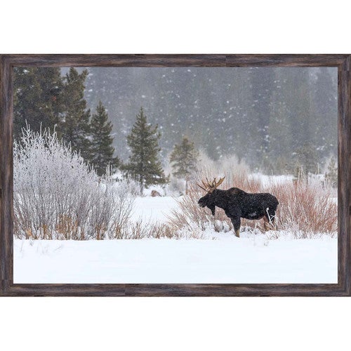 Snowfall Moose Wall Art