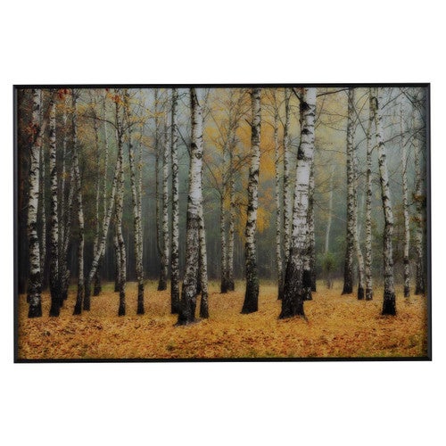 Autumn Birch Grove Wall Art
