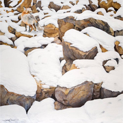 Fox in Rocks Limited Edition Print