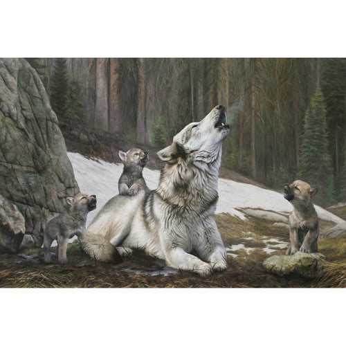 Unison Limited Edition Print