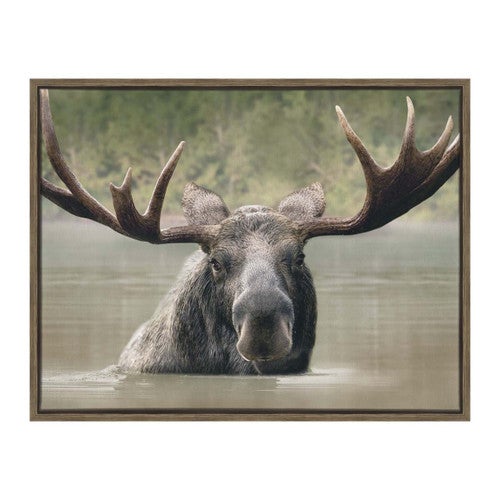 Wild Waters Moose Framed Wall Art