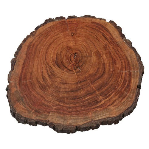 Tree Ring Lazy Susan