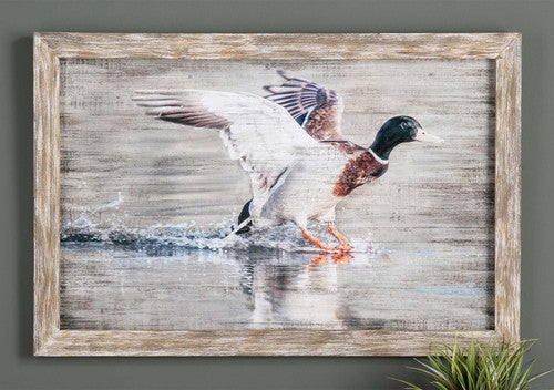 Mallard Landing Wall Art