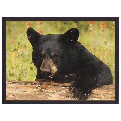 Peeking Bear Cub Wall Art