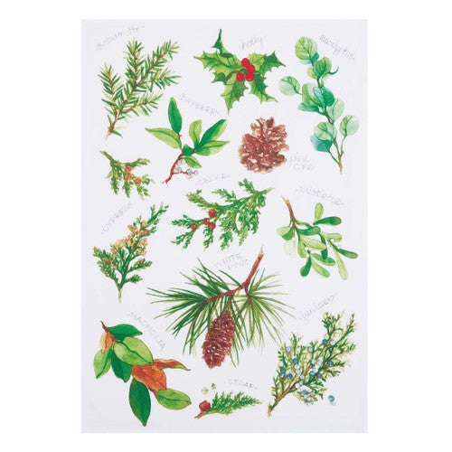 Fallen Twigs Kitchen Towels - Set of 4