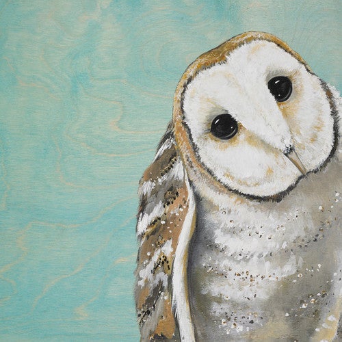 Curious Barn Owl Aqua Blue Canvas Art