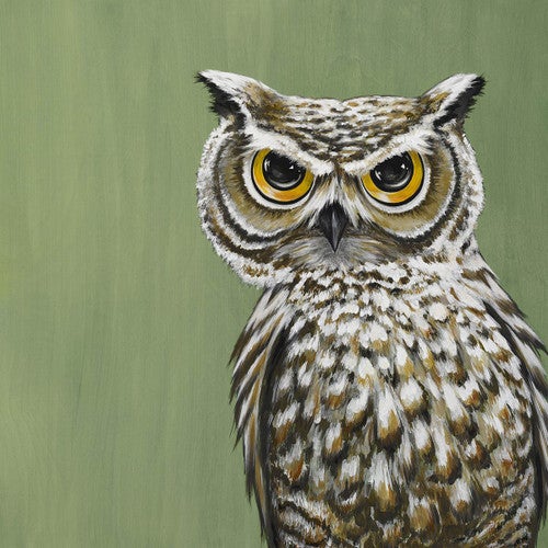 Owl Challenger Canvas Print