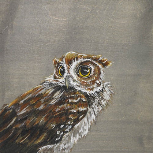 Watchful Owl Canvas Print