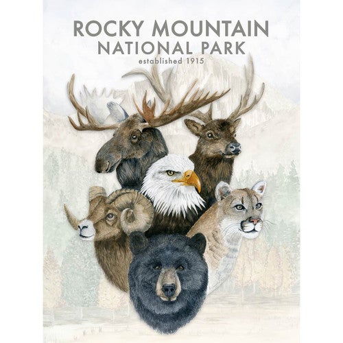 Rocky Mountain National Park Canvas Print