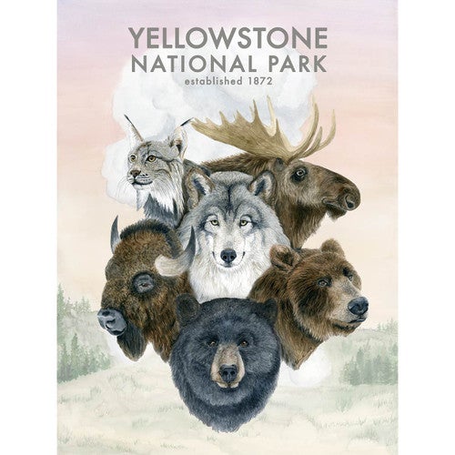 Yellowstone National Park Canvas Print