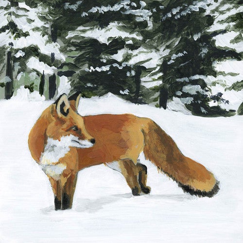 Fluffy Fox in Snow Canvas Print