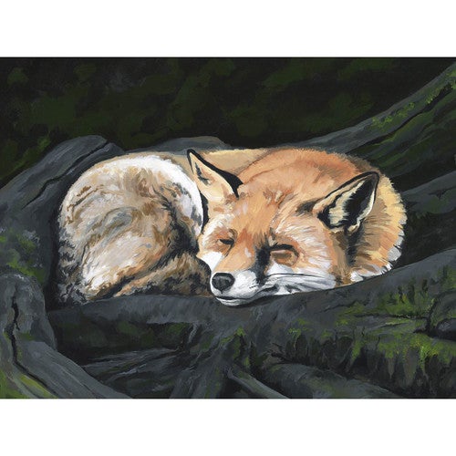 Dreaming Fox Canvas Print