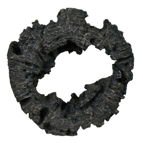 Midnight Forest Ring Wall Art