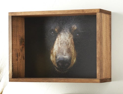 Black Bear Face Floating Wall Shelf