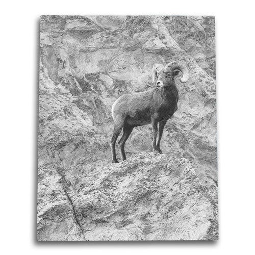 Lookout Canvas Wall Art