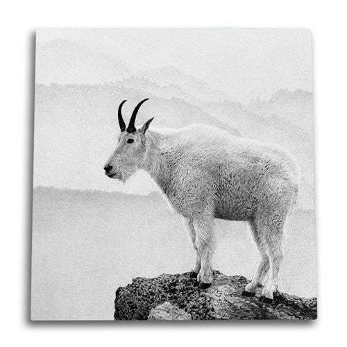 Rocky Point Canvas Wall Art