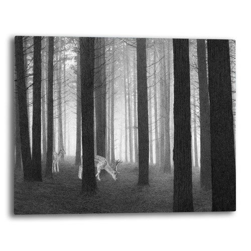 Mystic Woods Canvas Wall Art