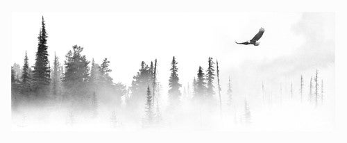 Forest Majesty Canvas Wall Art