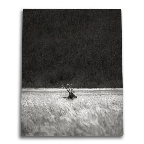 Waves of Grain Canvas Wall Art