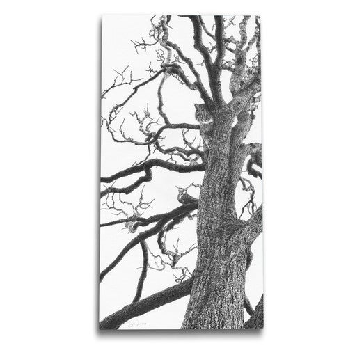 Bobcat Tree Canvas Wall Art